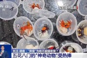 长兴@铲屎官们 养“异宠”或危害国家安全 这些行为违法了