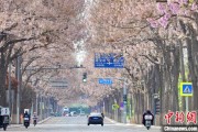 长兴共建“花园城市” 北京这场议政会“百花齐放”