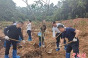 长兴广州已打造首批32处“绿美宗教活动场所”